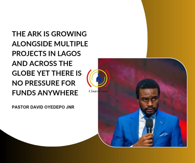 THE ARK IS GROWING ALONGSIDE MULTIPLE PPROJECTS